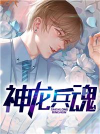 神龍兵魂小說封面